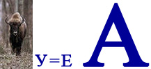 зебра_1