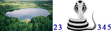 зебра_2