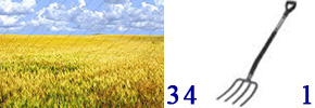лев_2