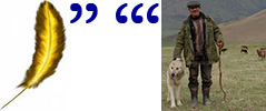 петух_1